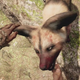 Illustration for article titled The Dangerous Animals I've Pet In Far Cry Primal